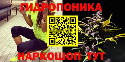 скорость Кинель