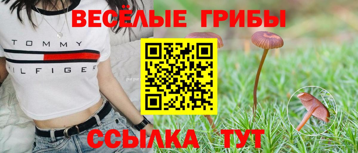 Аксай  Галлюциногенные грибы мухоморы  Вход с VPN 
